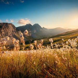 Music For Peace And Tranquil Vibes - RELAX MUSIC BOX