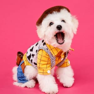 Quiet Background Music for Lazy Chill Dogs - Good Dog Music