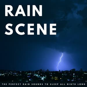Rain Scene: The Perfect Rain Sounds To Sleep All Night Long - Relaxing Fields