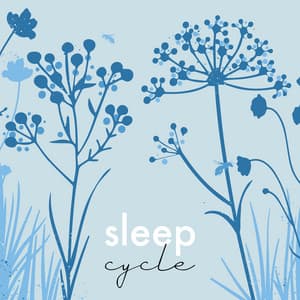 La maravilla del mundo - Canciones Infantiles Bebe TaTaTa