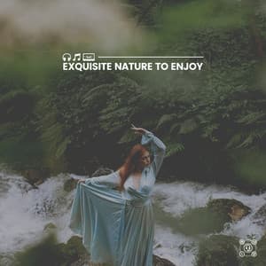 Exquisite Nature to Enjoy - Natural Sound Makers
