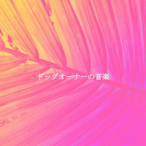 ドッグオーナーの音楽 - Sleep Jazz