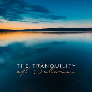 The Tranquility of Silence - Sleeping Music Zone