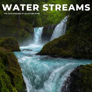 Water Streams: The Cold Streams Of An Autumn River - Nature Music Nature Songs