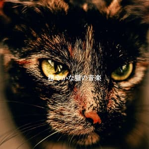 穏やかな猫の音楽 - Chill Jazz