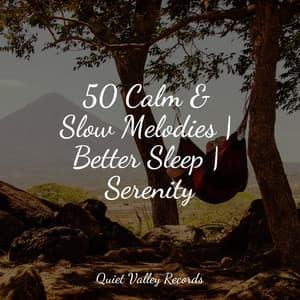 50 Calm & Slow Melodies | Better Sleep | Serenity - Forest Soundscapes