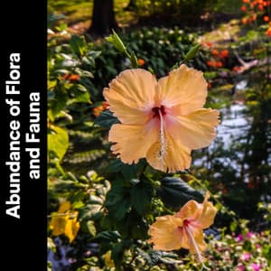 Abundance of Flora and Fauna - Binaural Landscapes