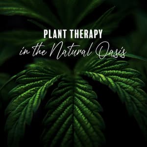 Plant Therapy in the Natural Oasis: Calmness Music, Flower Grow at Home - Zen Soothing Sounds of Nature