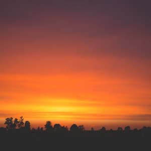 Focused Flow: The Piano Experience - Romantic Piano for Reading