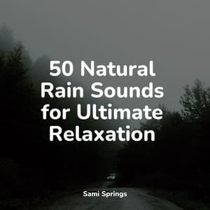 50 Natural Rain Sounds for Ultimate Relaxation - Water Soundscapes