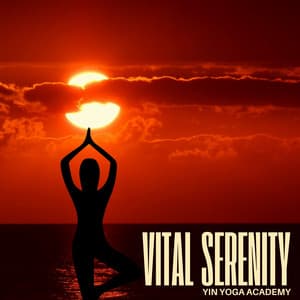 Vital Serenity: Yoga for Beginners - Yin Yoga Academy