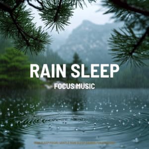 Rain Sleep Focus: Gentle Rain Sleep Sounds for Studying - Focus Music