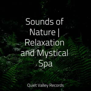 Sounds of Nature | Relaxation and Mystical Spa - Sleeping Music