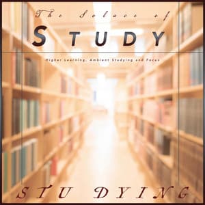 The Solace of Study: Higher Learning, Ambient Studying and Focus - Stu Dying