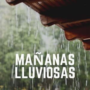 Mañanas Lluviosas - Sonidos De Lluvia