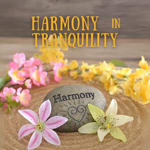 Harmony in Tranquility: Peaceful Massage Sounds - Spa Music Paradise Zone
