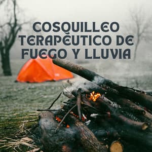 Cosquilleo terapéutico de fuego y lluvia - Naturaleza Ruido