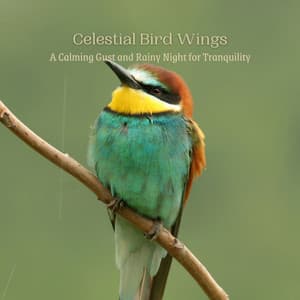 Celestial Bird Wings: A Calming Gust and Rainy Night for Tranquility - Let It Rain
