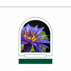 Jazz Guitar - Background for Rejuvenating Seasons - Jazz for Tea and Coffee