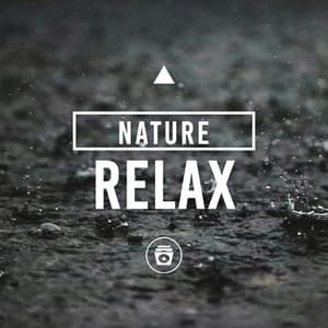 Nature Relax - Rain and Chill