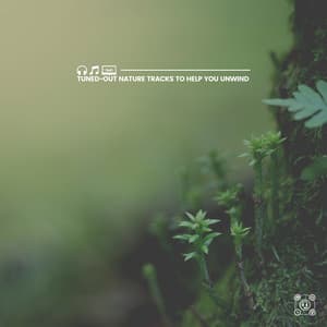 Tuned-Out Nature Tracks to Help You Unwind - Soft Soundscapes