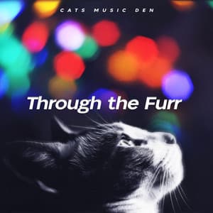 Through the Furr - Cats Music Den