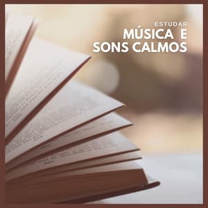 Estudar: Música e Sons Calmos - Musicas para Estudar Collective