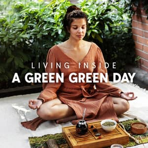Living Inside A Green Green Day: Herbal Therapy, Relaxing Yoga Meditation Background Sounds For The Soul - Green Green Grass