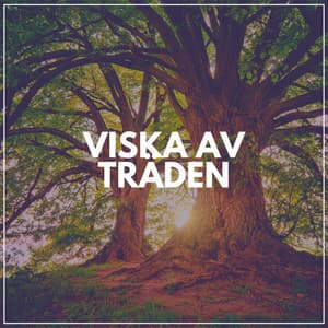 Viska Av Träden - Avslappnande Meditation Akademi