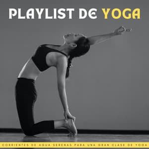 Playlist De Yoga: Corrientes De Agua Serenas Para Una Gran Clase De Yoga - Relajacion Yoga Conjunto