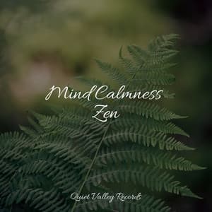 Mind Calmness Zen - Sol y Lluvia