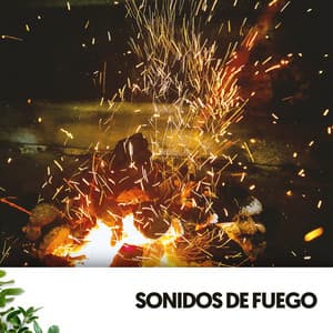 Sonidos de Fuego: A Musical Blaze of Emotions - RelaxMyCat