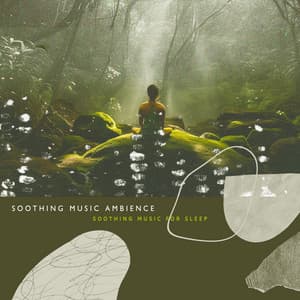 Soothing Music Ambience - Soothing Music for Sleep