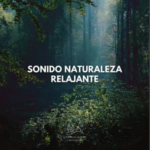 Sonido Naturaleza Relajante - Sonido Del Bosque y Naturaleza