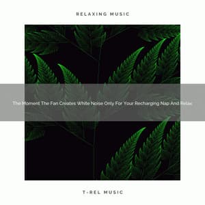 2021 New: The Moment The Fan Creates White Noise Only For Your Recharging Nap And Relax - Womb Sounds Sleepy Time