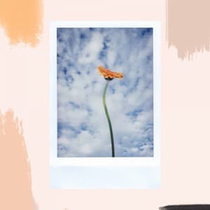 Music for Moonlight Afternoons - Lounge Smooth Jazz Deluxe