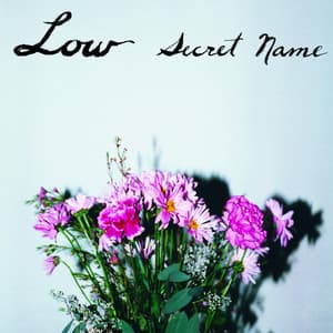 Secret Name - Low