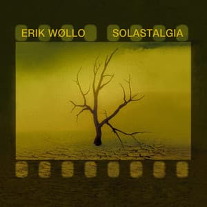 Solastalgia - Erik Wøllo