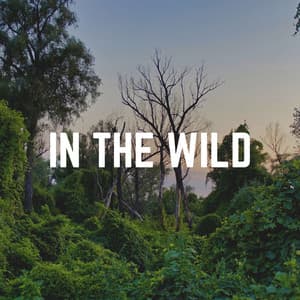 In the Wild - Nature Label