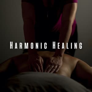 Harmonic Healing: Meditation Music for Holistic Massage - Morning Instrumentals
