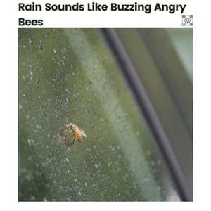 Rain Sounds Like Buzzing Angry Bees - Rain Sounds Nature Collection