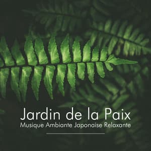 Jardin de la Paix: Musique du Monde, Musique Ambiante Japonaise Relaxante - Jardin japonais