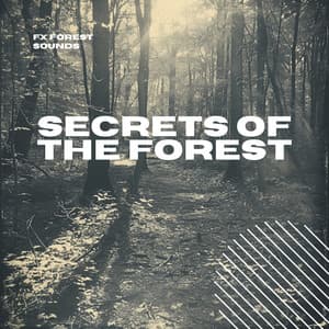 Secrets of the Forest: Ambient Nature Sounds - FX Forest Sounds