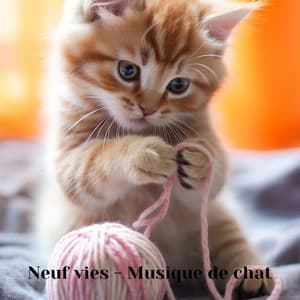 Neuf vies - Musique de chat - Musique pour Chats Relaxante