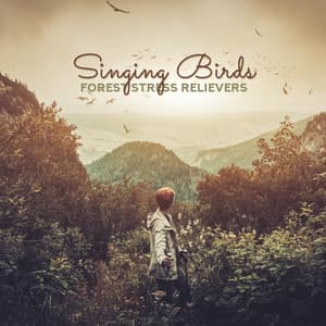 Singing Birds: Forest Stress Relievers - Life Harmony Masters