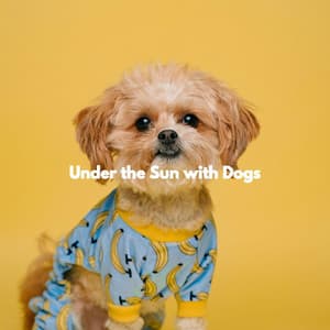 Under the Sun with Dogs - Boutique Hotel Music