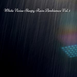 White Noise Sleepy Rain Ambience Vol. 1 - The White Noise Travelers