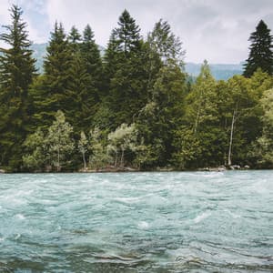 Armonía - Música De Relajación Para Dormir Profundamente