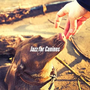 Jazz for Canines - Doggy Music Radio