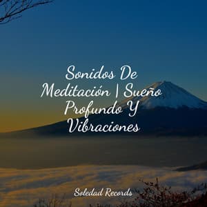 Sonidos De Meditación | Sueño Profundo Y Vibraciones - Música relajante con sonidos de la naturaleza